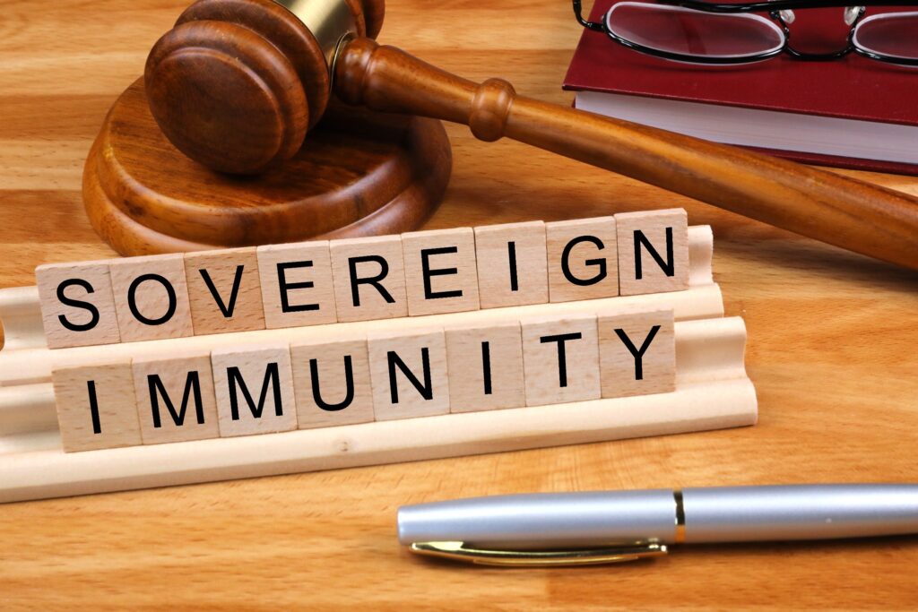 Sovereign Immunity: Suing the State